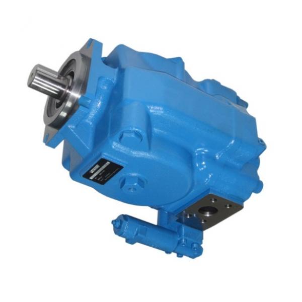 Vickers PVH063R01AB10A250000001001AE010A Pressure Axial Piston Pump #1 image